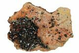 Deep-Green Libethenite Crystal Cluster #169827-1